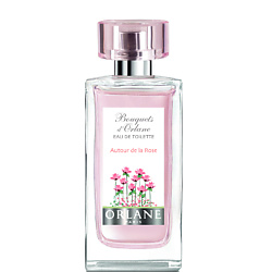 Bouquets d'Orlane Rose