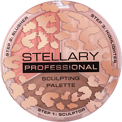 Контуринг и скульпторы STELLARY