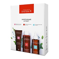 Наборы для волос SYSTEM4