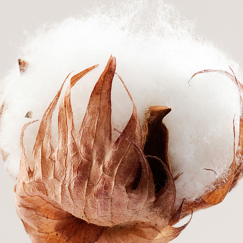 PAYOT Смягчающий кожу шариковый дезодорант без спирта Rituel Douceur – фото 3