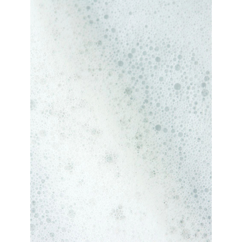 ARAVIA LABORATORIES Пенка для умывания с коллоидной серой и экстрактом женьшеня Anti-Acne Cleansing Foam – фото 5