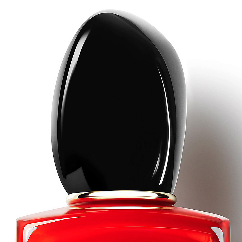 GIORGIO ARMANI SI Passione – фото 12