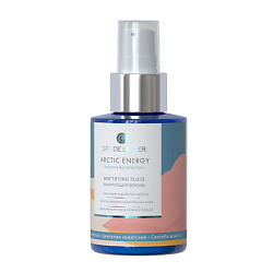 Флюид-деактиватор жирного блеска Энергия Арктики