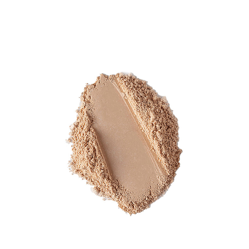 ASTRA Пудра для лица рассыпчатая Velvet Skin Loose Powder – фото 3